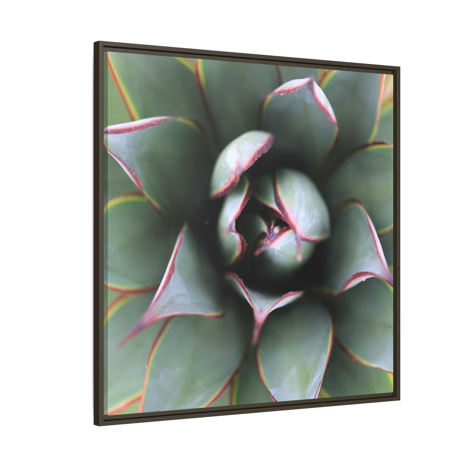Spiky Elegance - Unique Stretched Canvas Wall Art - Art By Earth