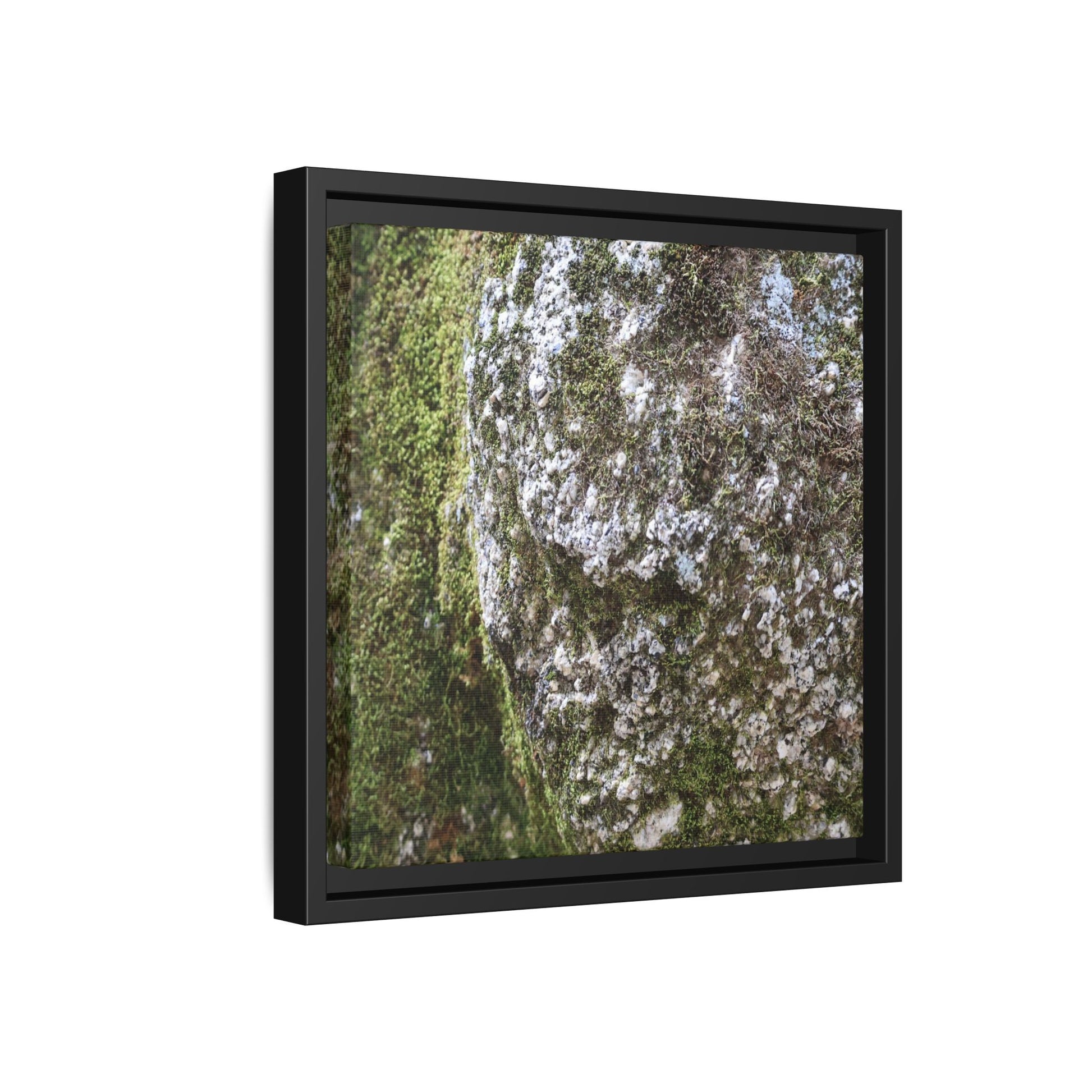 Lichen Landscape - Unique Stretched Canvas Wall Art - Art By Earth