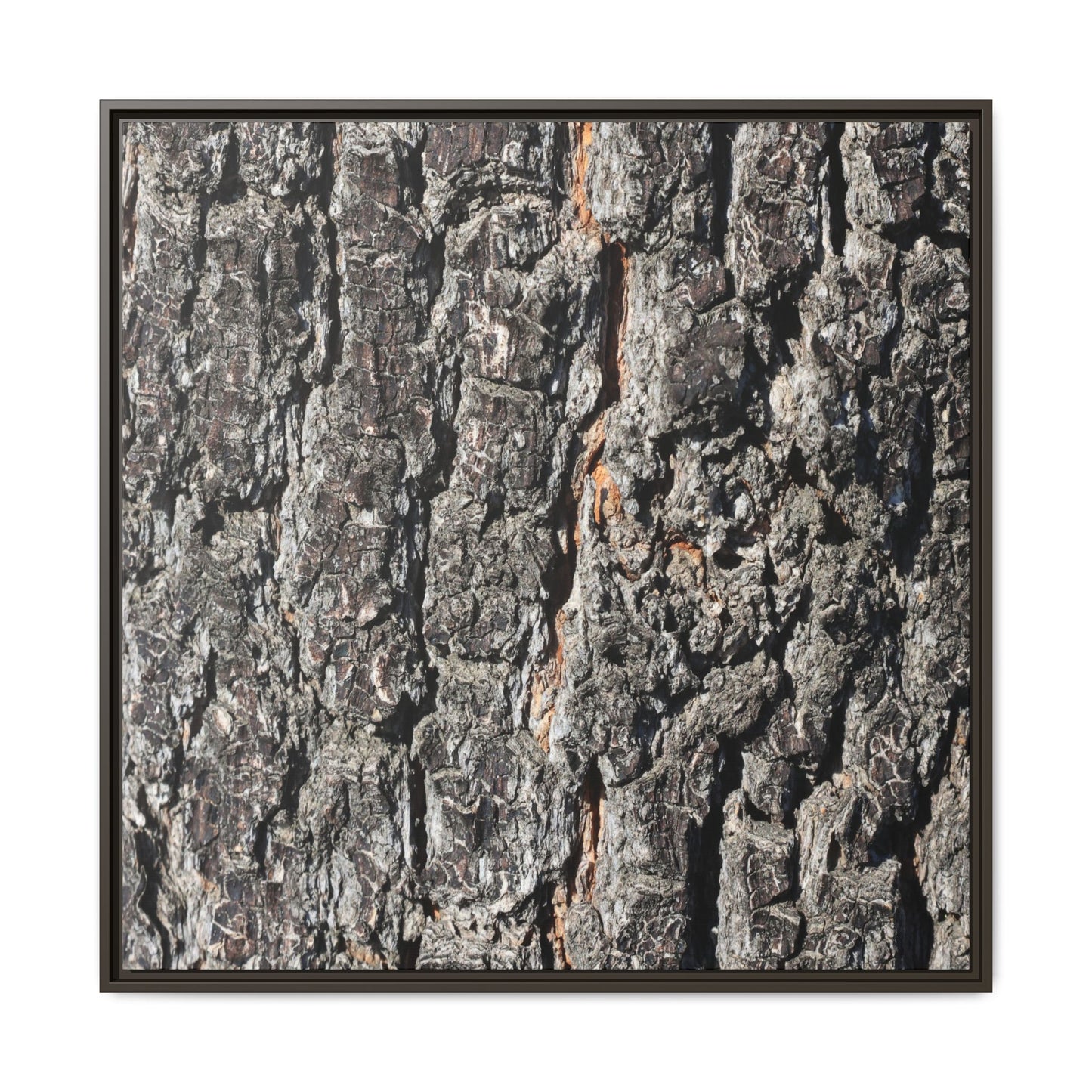 Aged Beauty - Unique Stretched Canvas Wall Art - Art By Earth