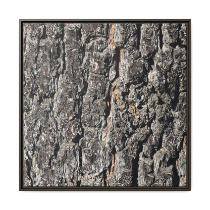 Aged Beauty - Unique Stretched Canvas Wall Art - Art By Earth