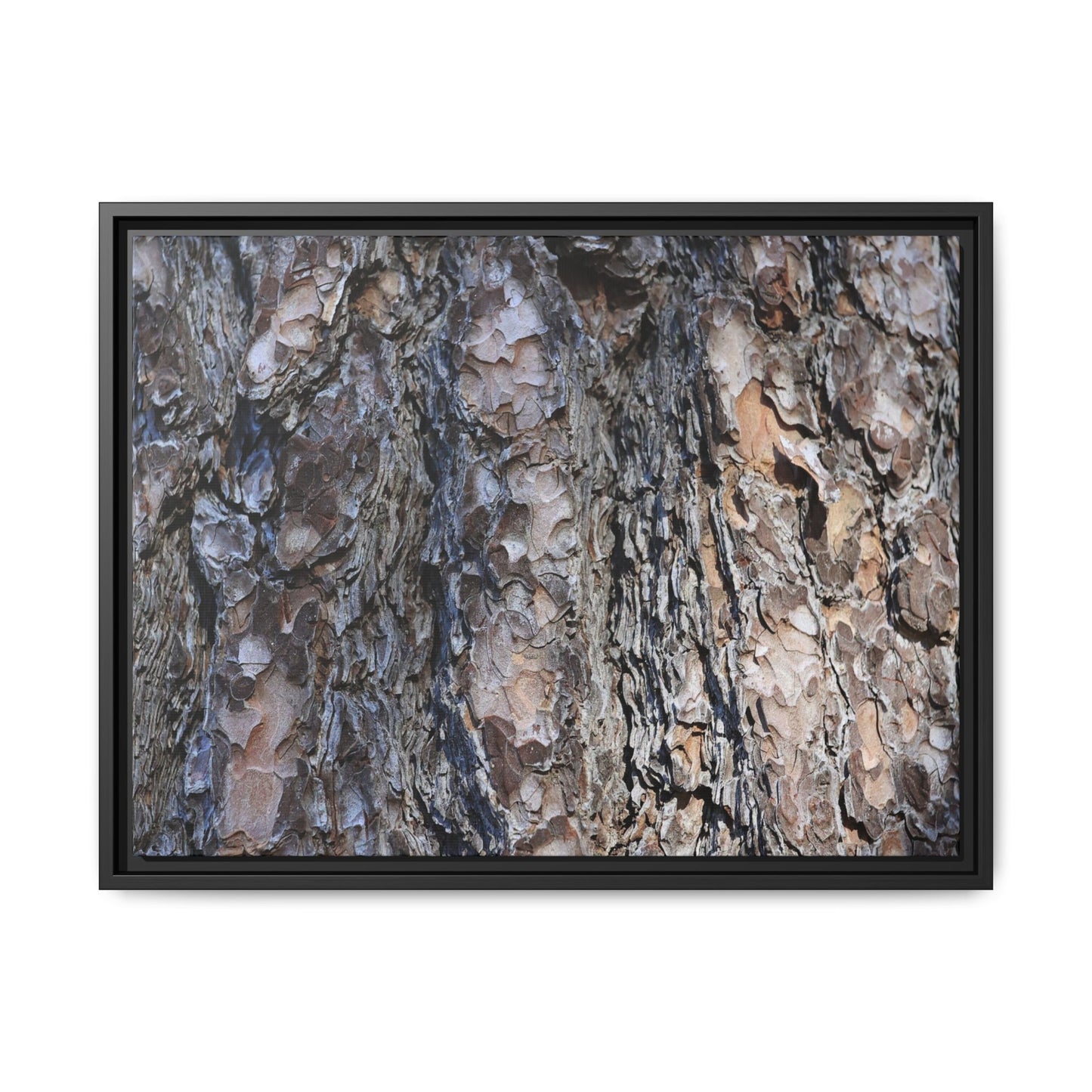 Weathered Patterns - Unique Stretched Canvas Wall Art - Art By Earth