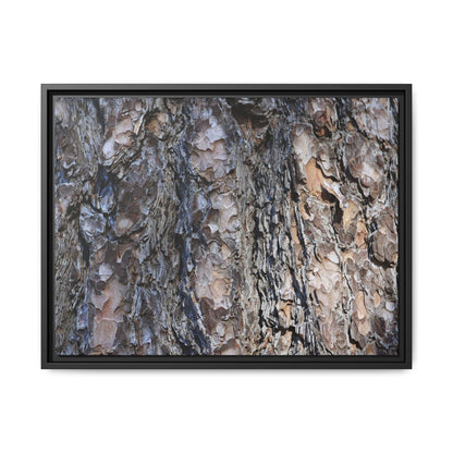 Weathered Patterns - Unique Stretched Canvas Wall Art - Art By Earth