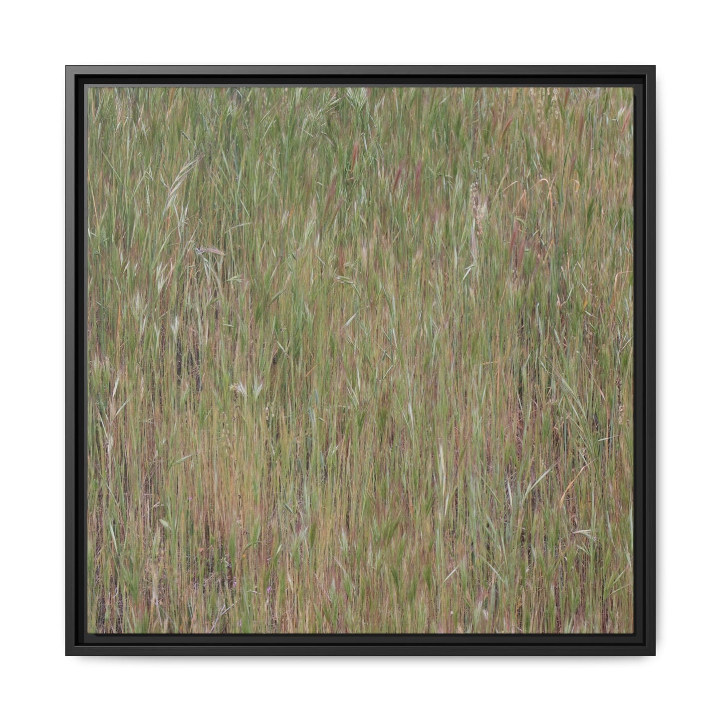 Field of Dreams - Unique Stretched Canvas Wall Art - Art By Earth