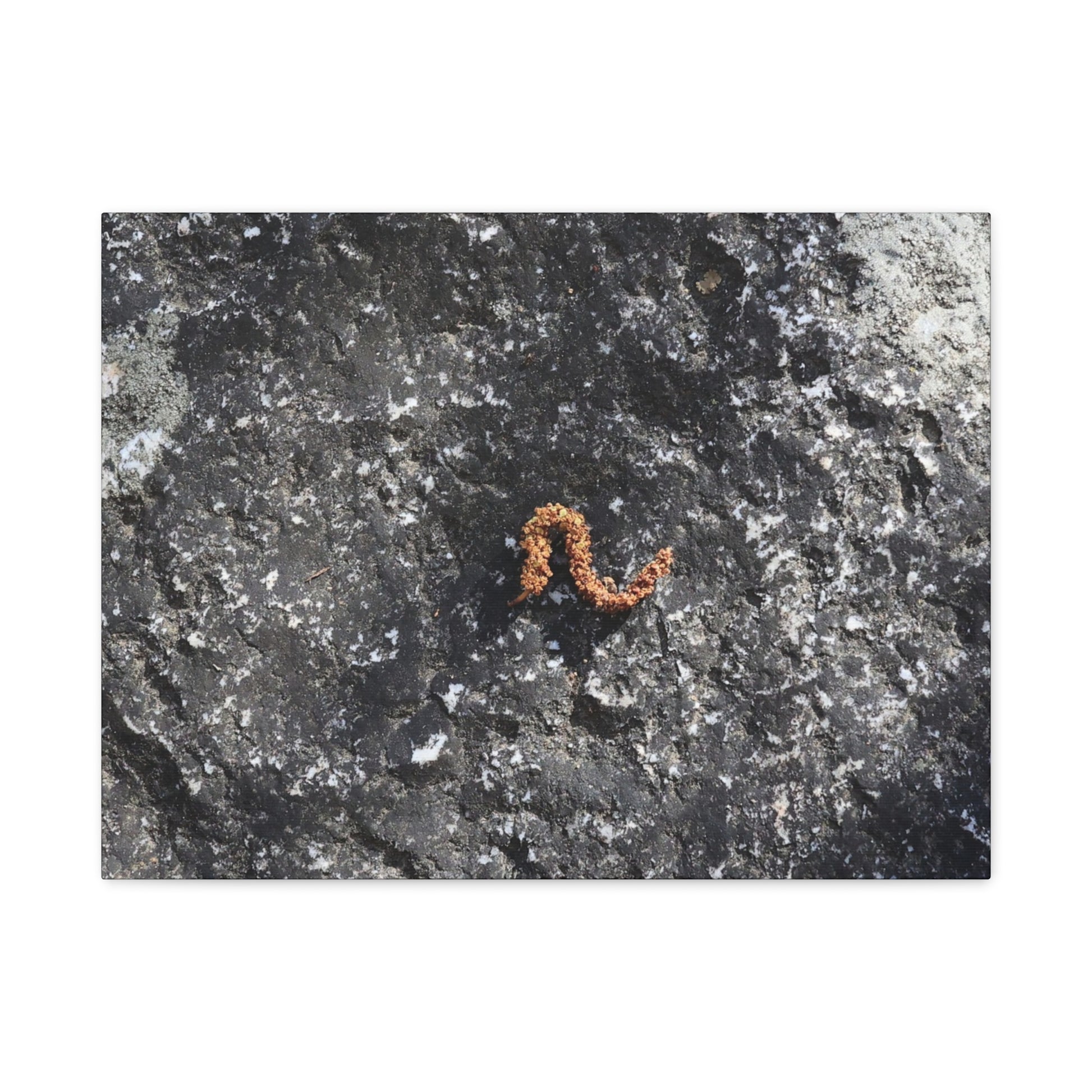 Earthen Serpent - Unique Frameless Canvas Wall Art - Art By Earth