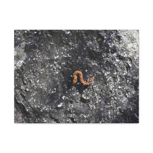 Earthen Serpent - Unique Frameless Canvas Wall Art - Art By Earth