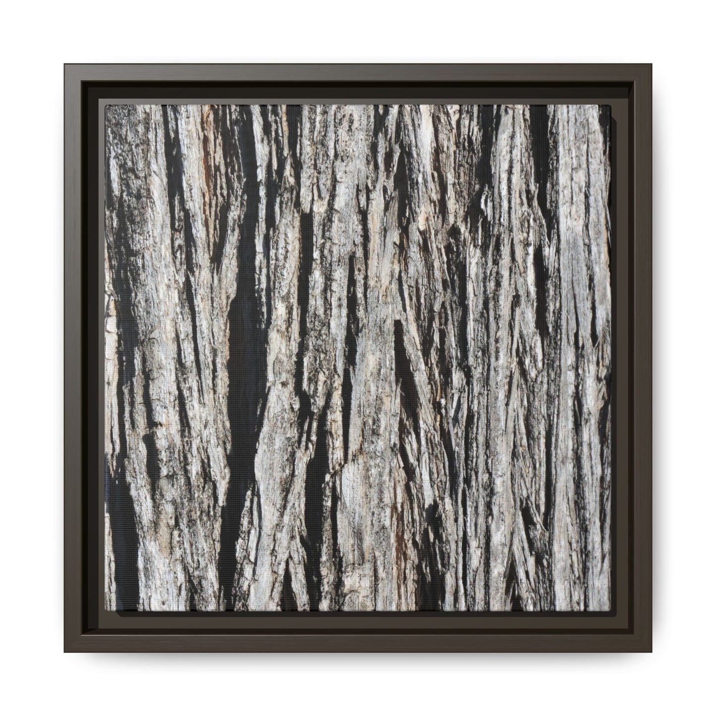 Nature's Abstract - Unique Stretched Canvas Wall Art - Art By Earth