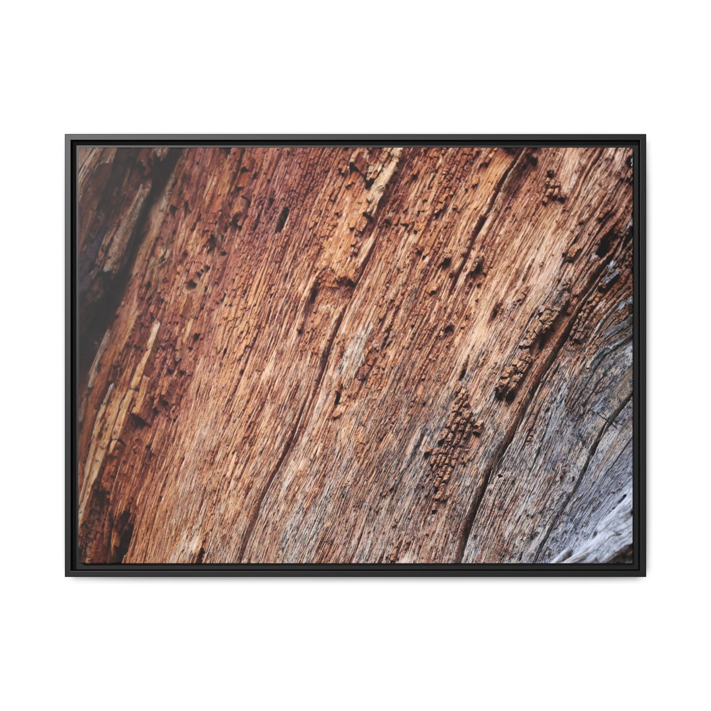 Time's Mark - Unique Stretched Canvas Wall Art - Art By Earth