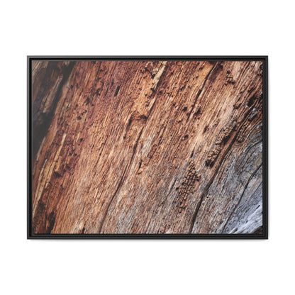 Time's Mark - Unique Stretched Canvas Wall Art - Art By Earth