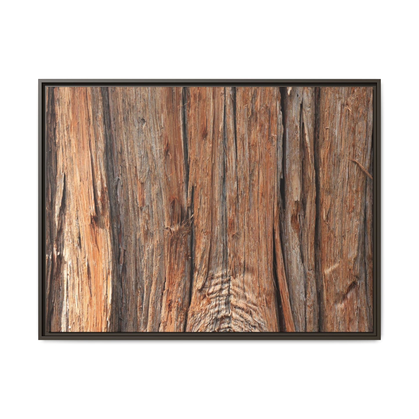 Echoes of Timber - Unique Stretched Canvas Wall Art - Art By Earth