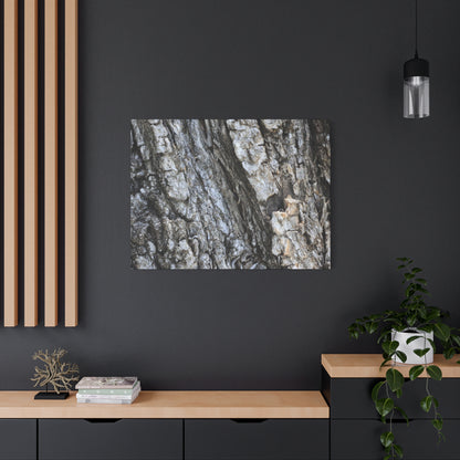 Nature's Rough Embrace - Unique Frameless Canvas Wall Art - Art By Earth