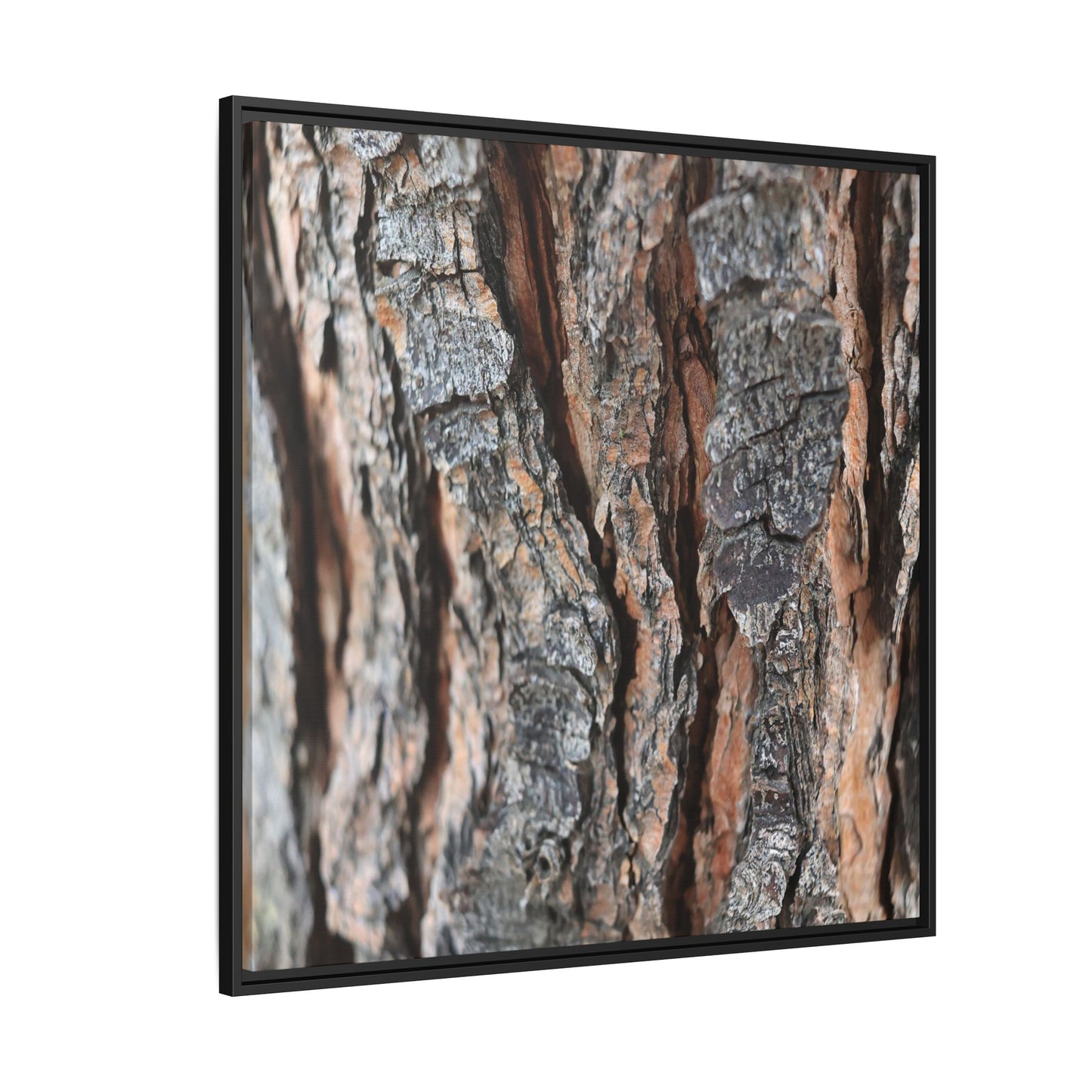 Fractured Nature - Unique Stretched Canvas Wall Art - Art By Earth