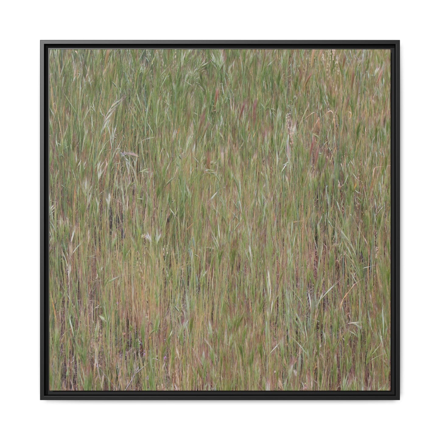 Field of Dreams - Unique Stretched Canvas Wall Art - Art By Earth