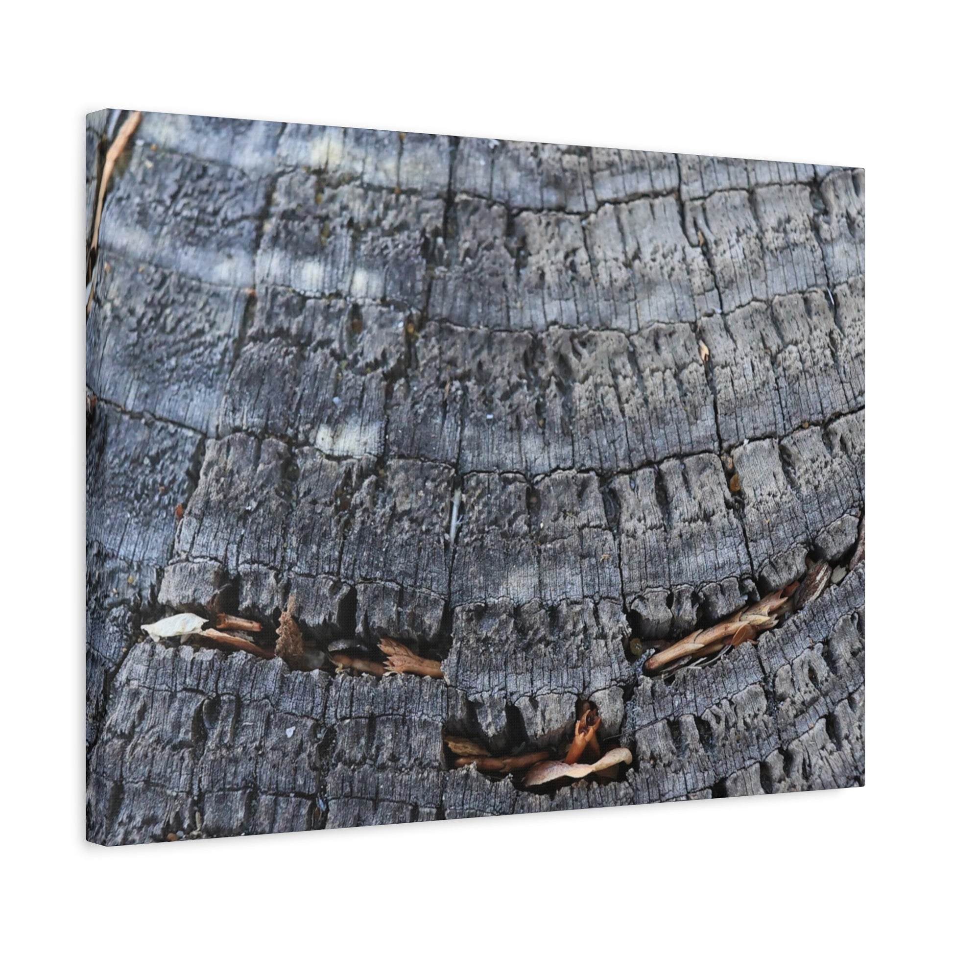 Time's Fractal Whispers - Unique Frameless Canvas Wall Art - Art By Earth