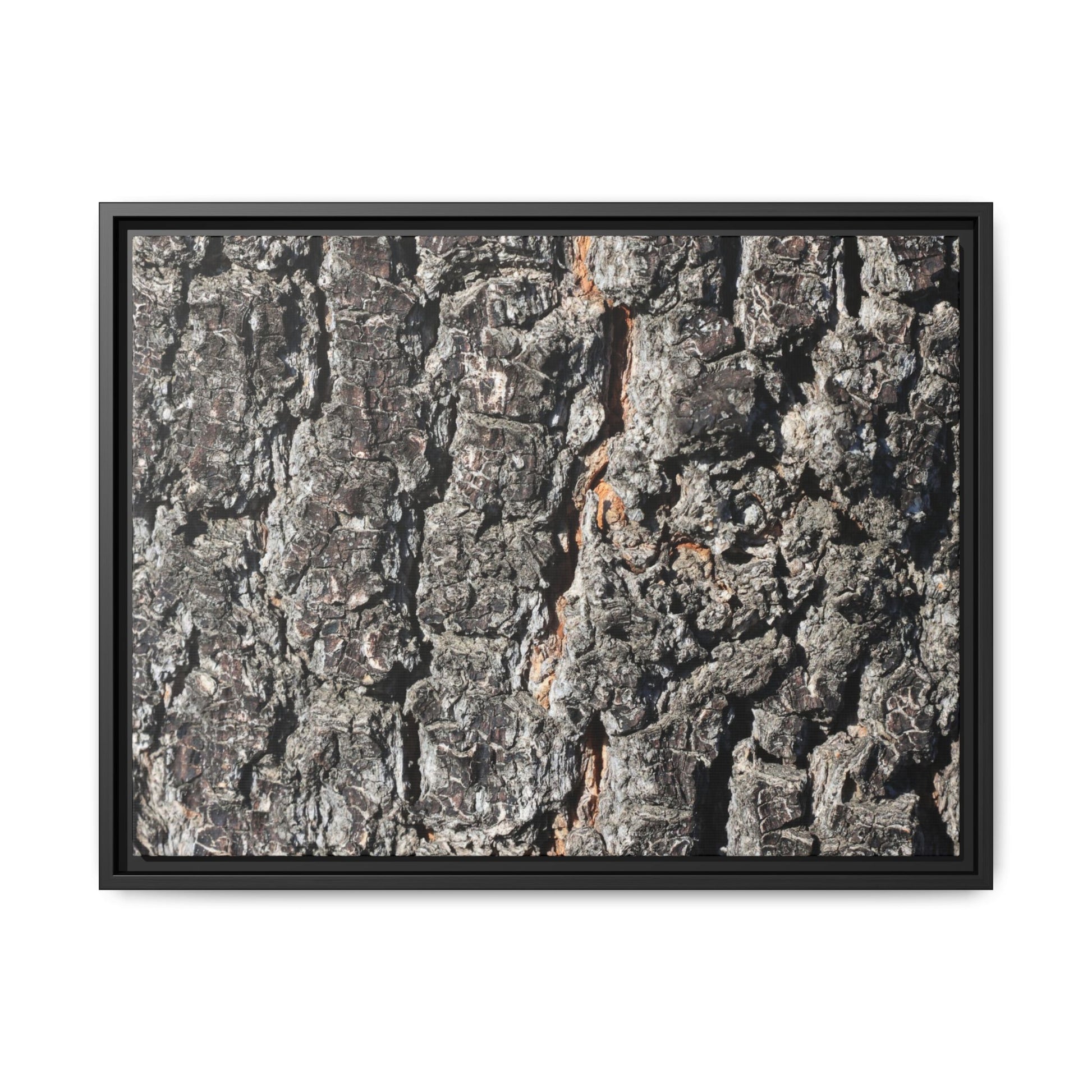 Aged Beauty - Unique Stretched Canvas Wall Art - Art By Earth
