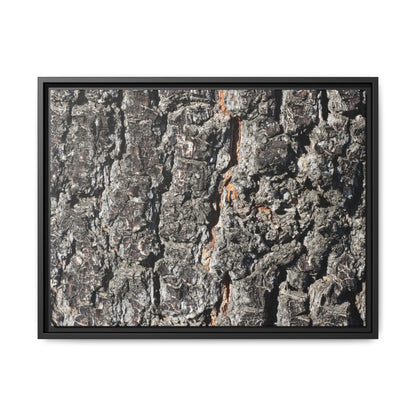 Aged Beauty - Unique Stretched Canvas Wall Art - Art By Earth