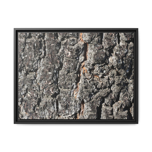 Aged Beauty - Unique Stretched Canvas Wall Art - Art By Earth