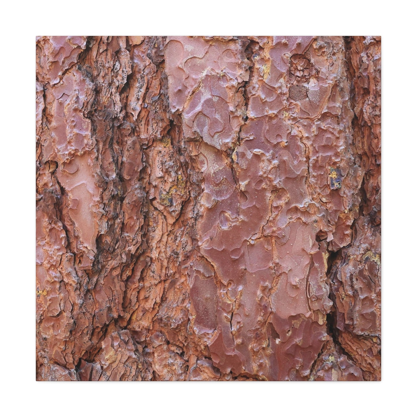 Rusty Textures - Unique Frameless Canvas Wall Art - Art By Earth