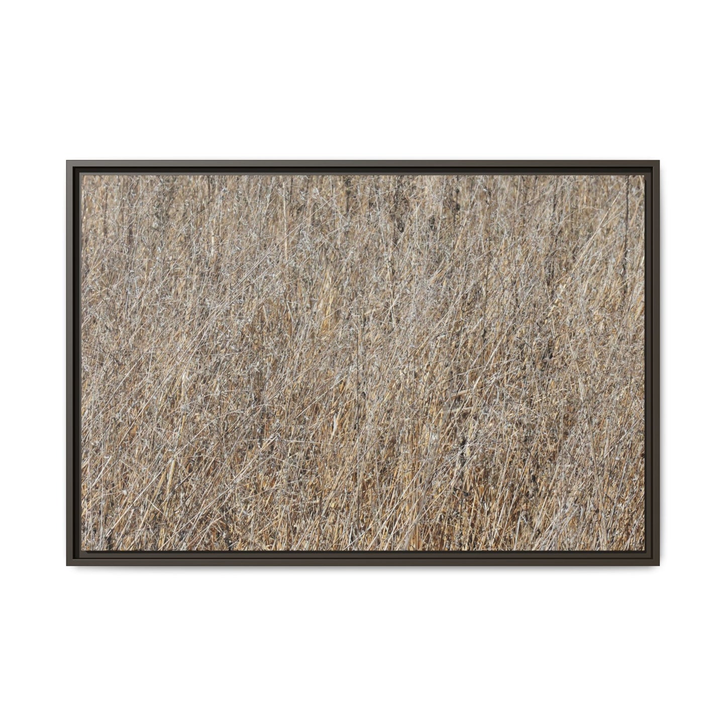 Dry Straw Symphony - Unique Stretched Canvas Wall Art - Art By Earth