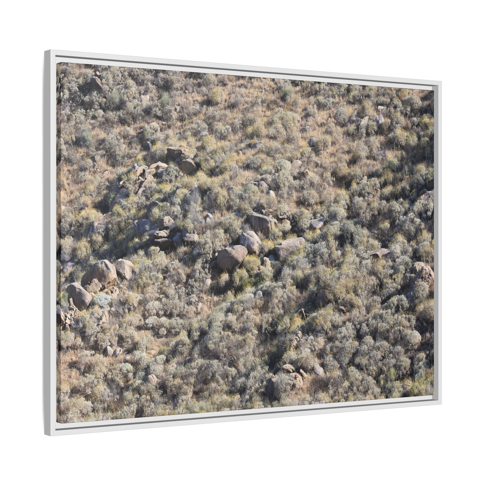 Arid Terrain Study - Unique Stretched Canvas Wall Art - Art By Earth