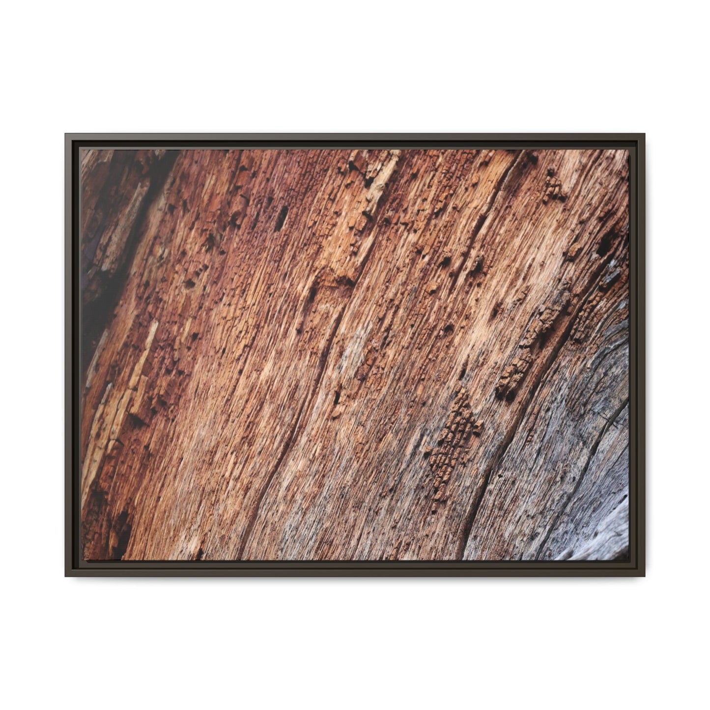 Time's Mark - Unique Stretched Canvas Wall Art - Art By Earth