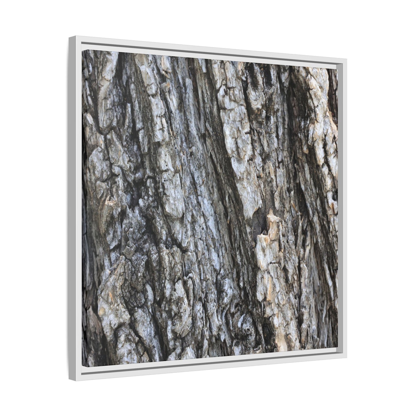 Twisted Textures - Unique Stretched Canvas Wall Art - Art By Earth