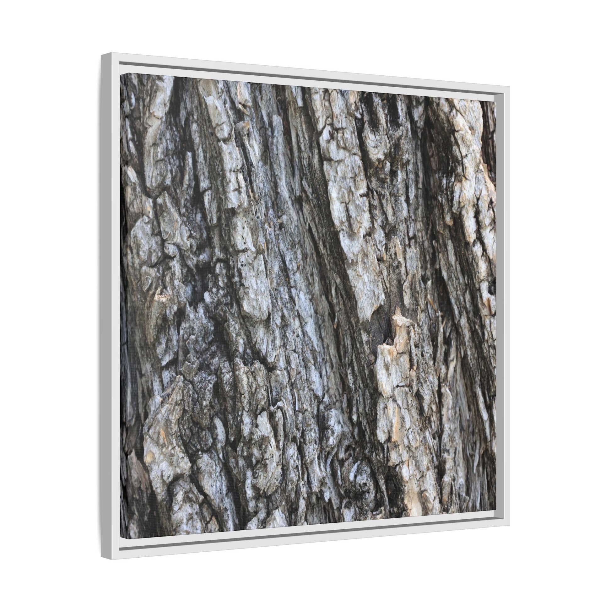Twisted Textures - Unique Stretched Canvas Wall Art - Art By Earth