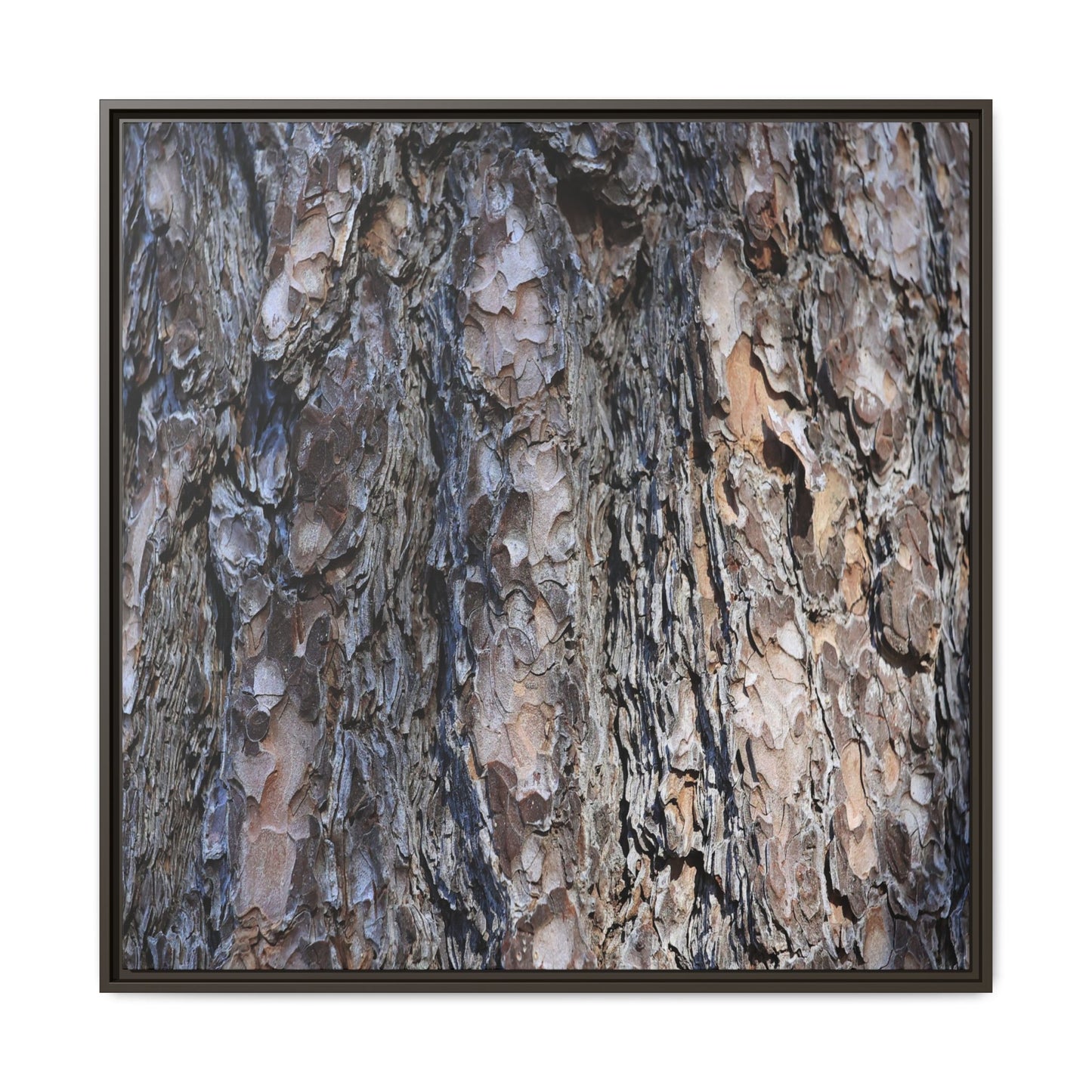 Weathered Patterns - Unique Stretched Canvas Wall Art - Art By Earth
