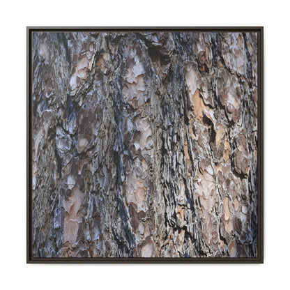 Weathered Patterns - Unique Stretched Canvas Wall Art - Art By Earth