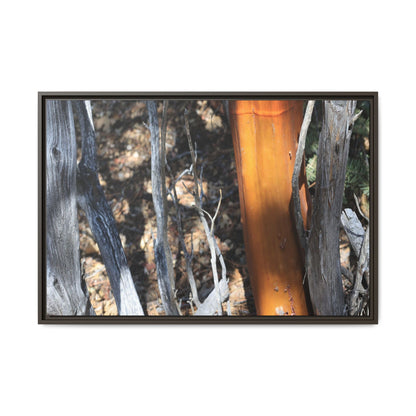 Burnt Trees and Golden Trunk - Unique Stretched Canvas Wall Art