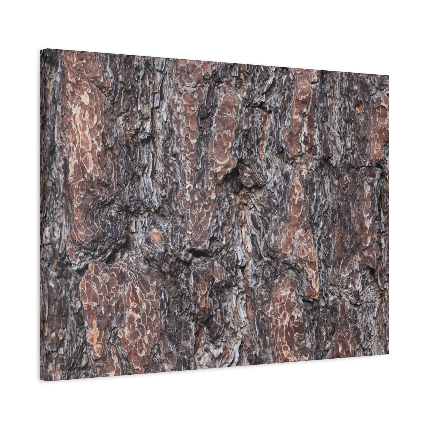 Textured Whispers of an Ancient Tree - Unique Frameless Canvas Wall Art
