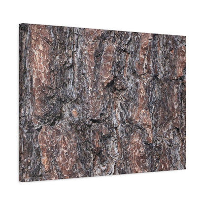Textured Whispers of an Ancient Tree - Unique Frameless Canvas Wall Art