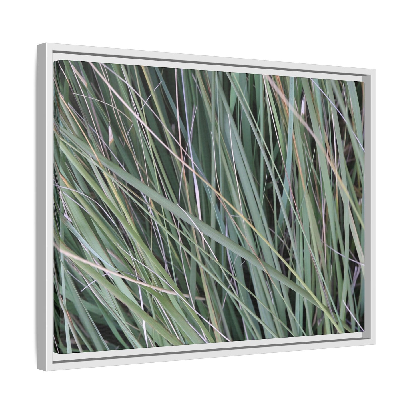 Grassland Symphony - Unique Stretched Canvas Wall Art - Art By Earth