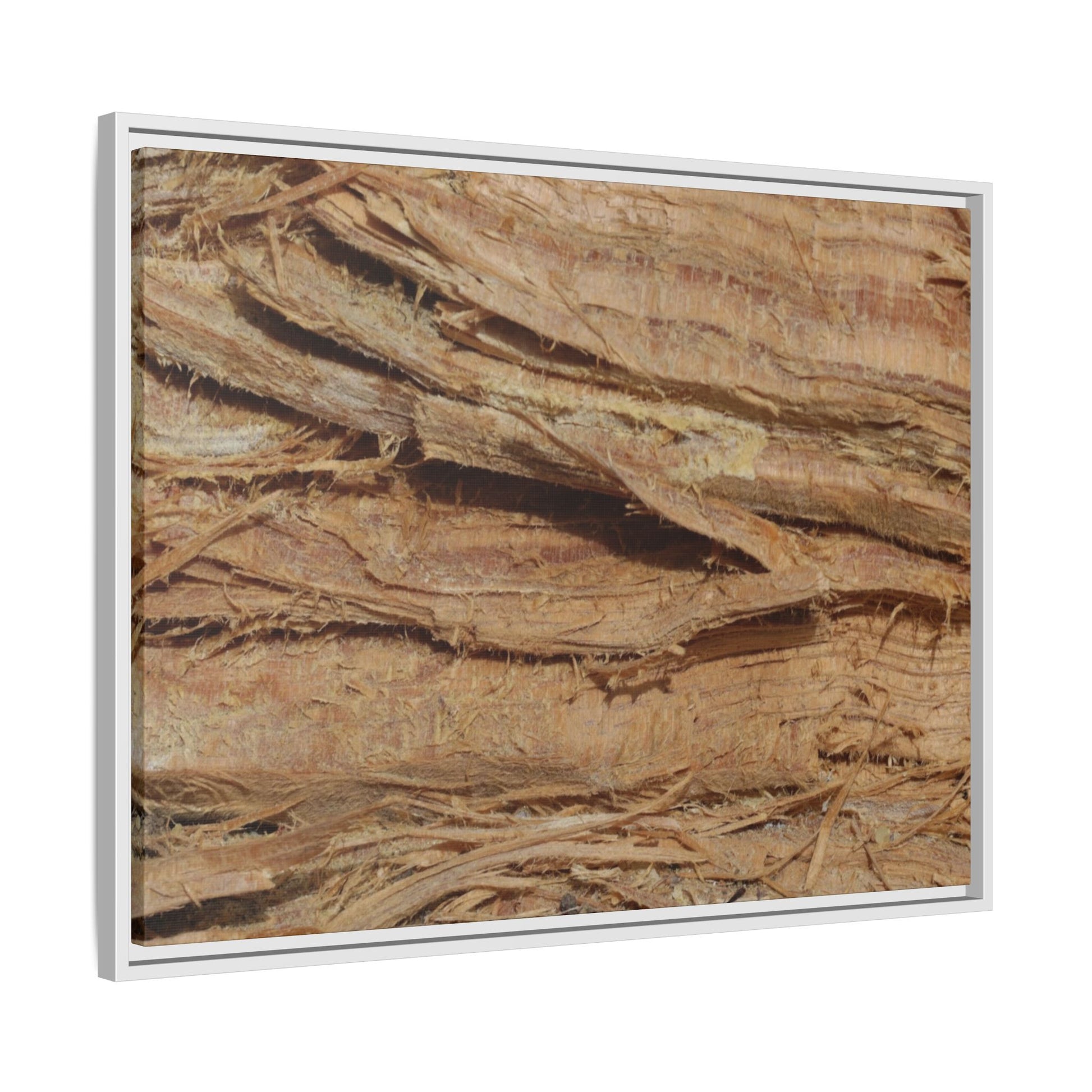 Splintered Bark - Unique Stretched Canvas Wall Art - Art By Earth