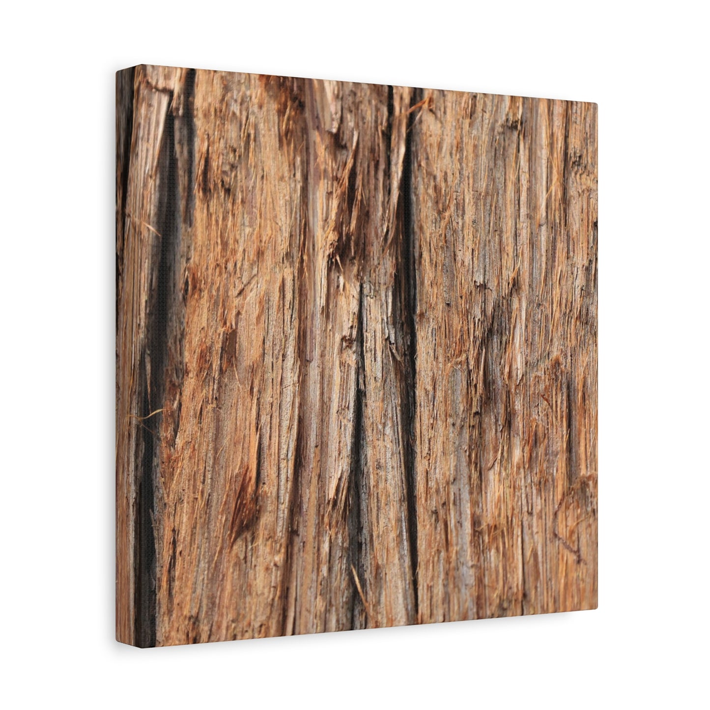 Woodland Echoes - Unique Frameless Canvas Wall Art - Art By Earth