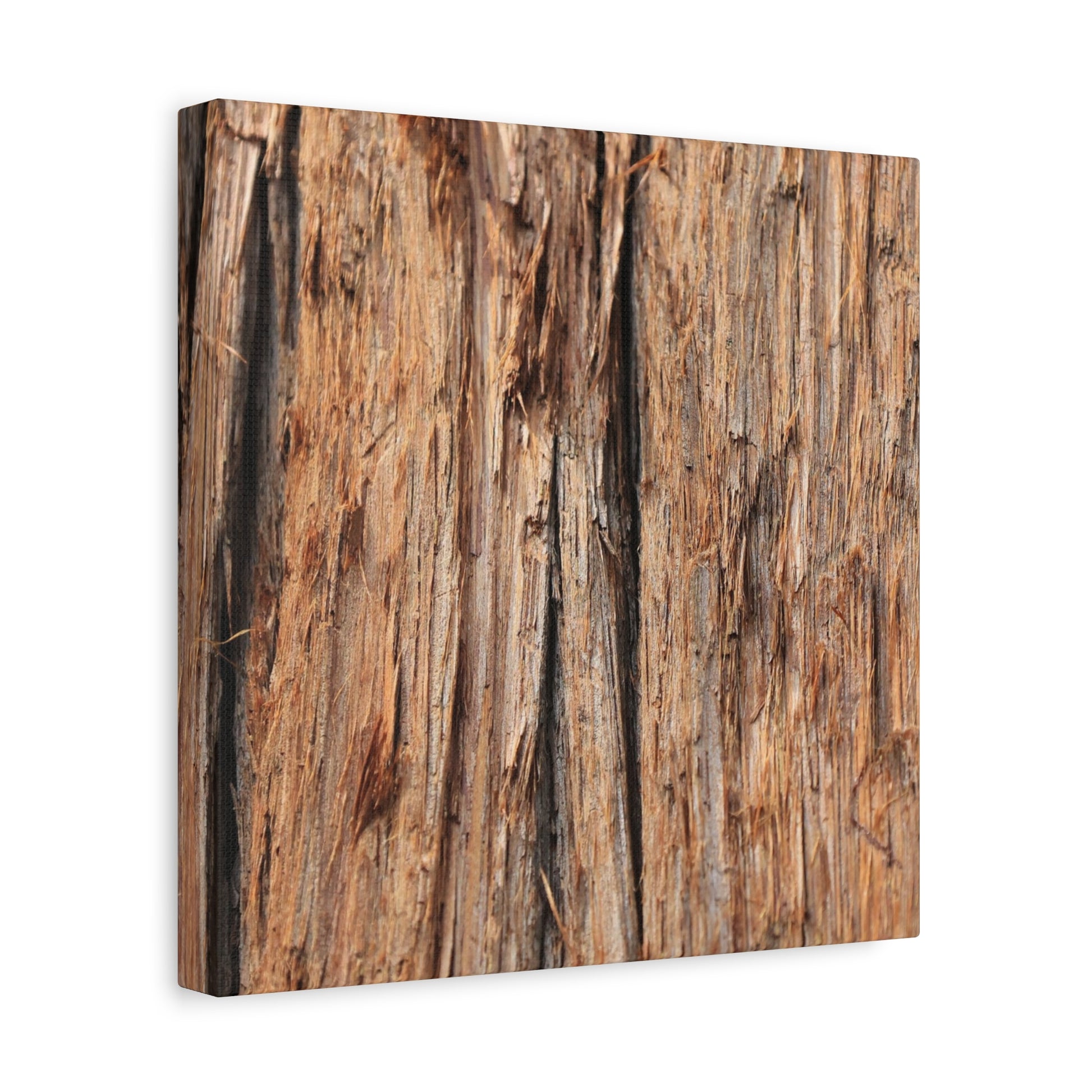 Woodland Echoes - Unique Frameless Canvas Wall Art - Art By Earth