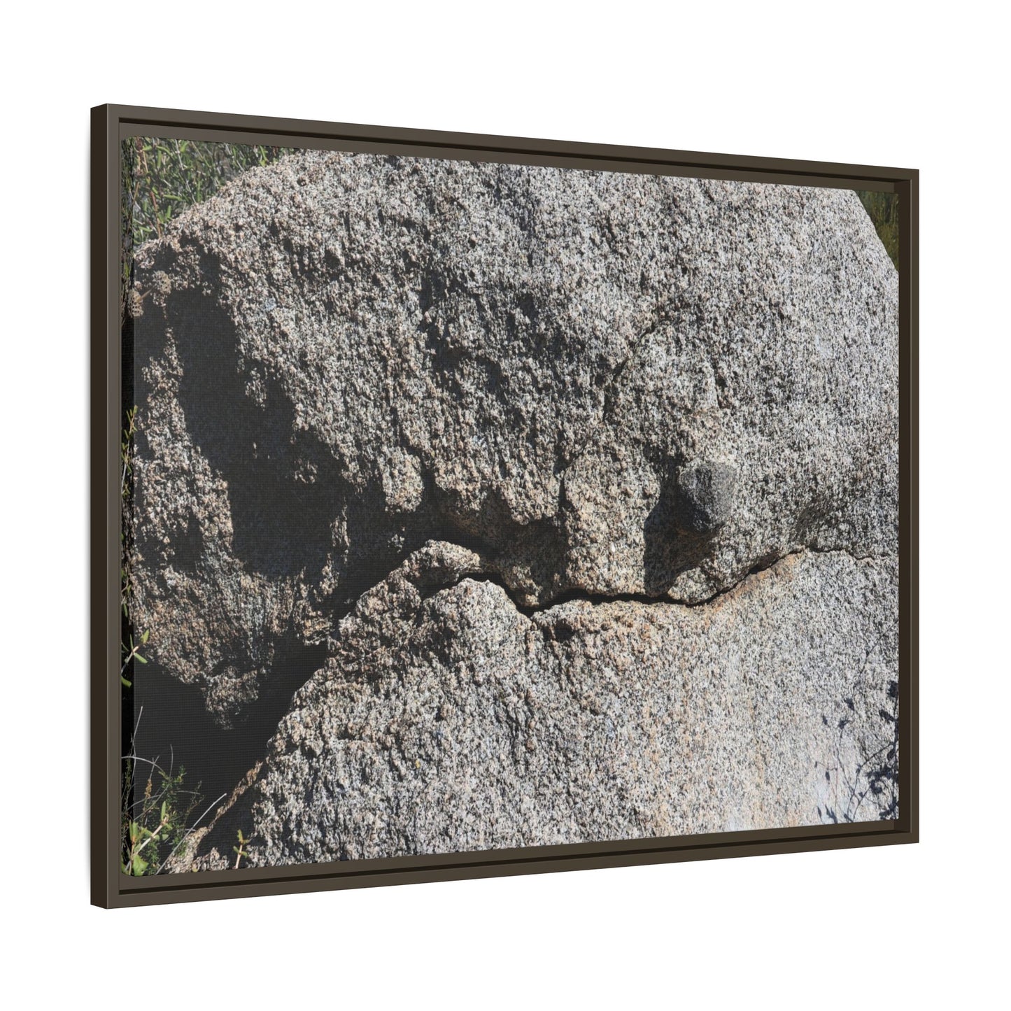 Stone Skull in Desert - Unique Stretched Canvas Wall Art