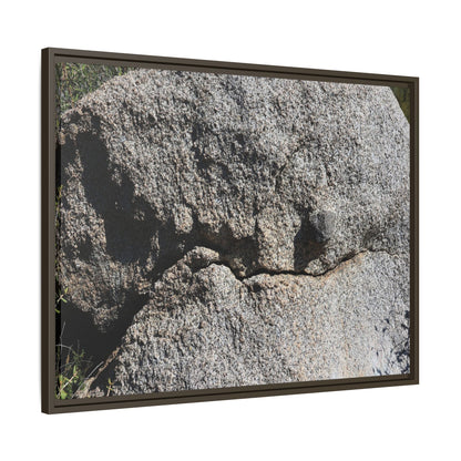 Stone Skull in Desert - Unique Stretched Canvas Wall Art
