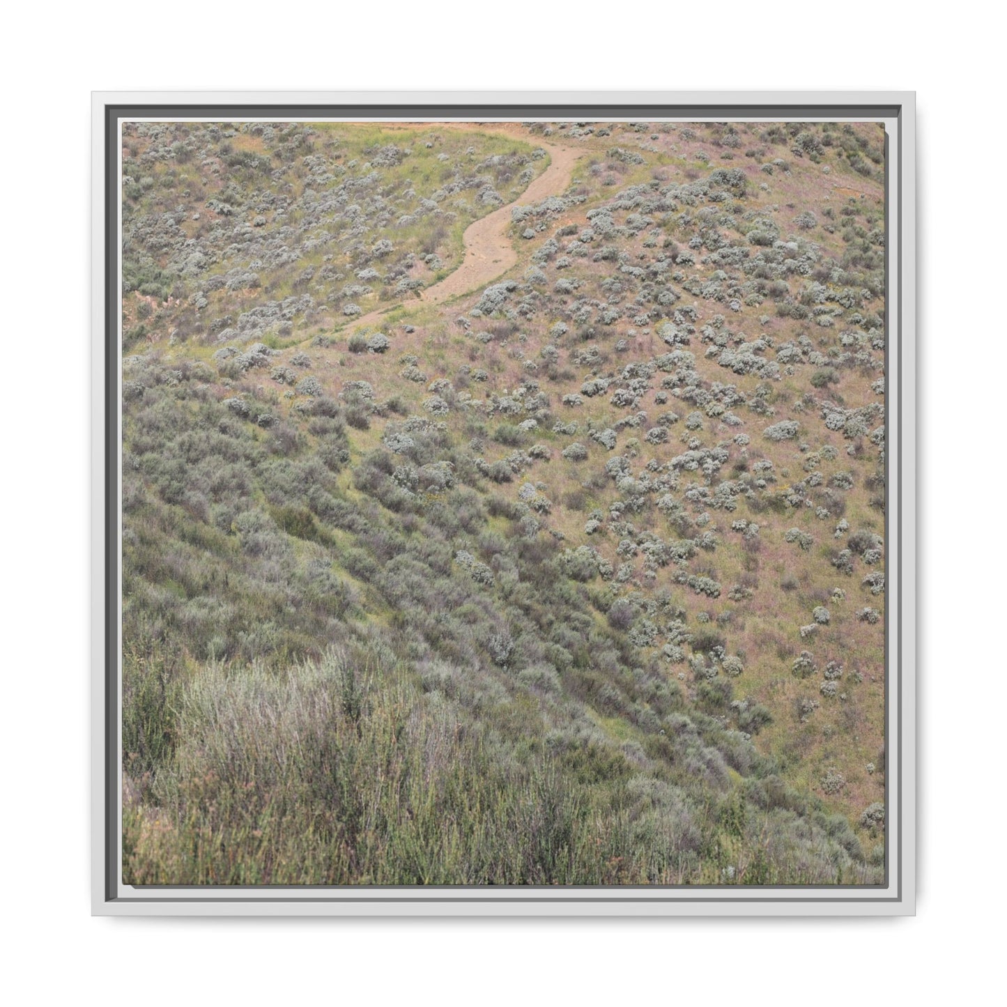Arid Landscape with Winding Path - Unique Stretched Canvas Wall Art - Art By Earth