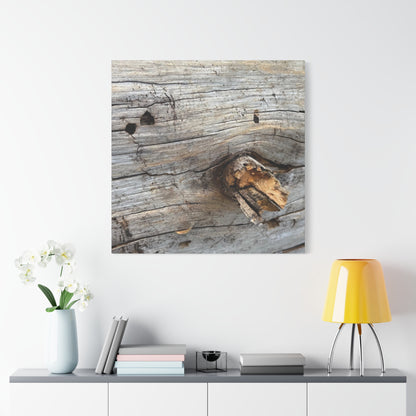 Weathered Wood Portrait - Unique Frameless Canvas Wall Art - Art By Earth