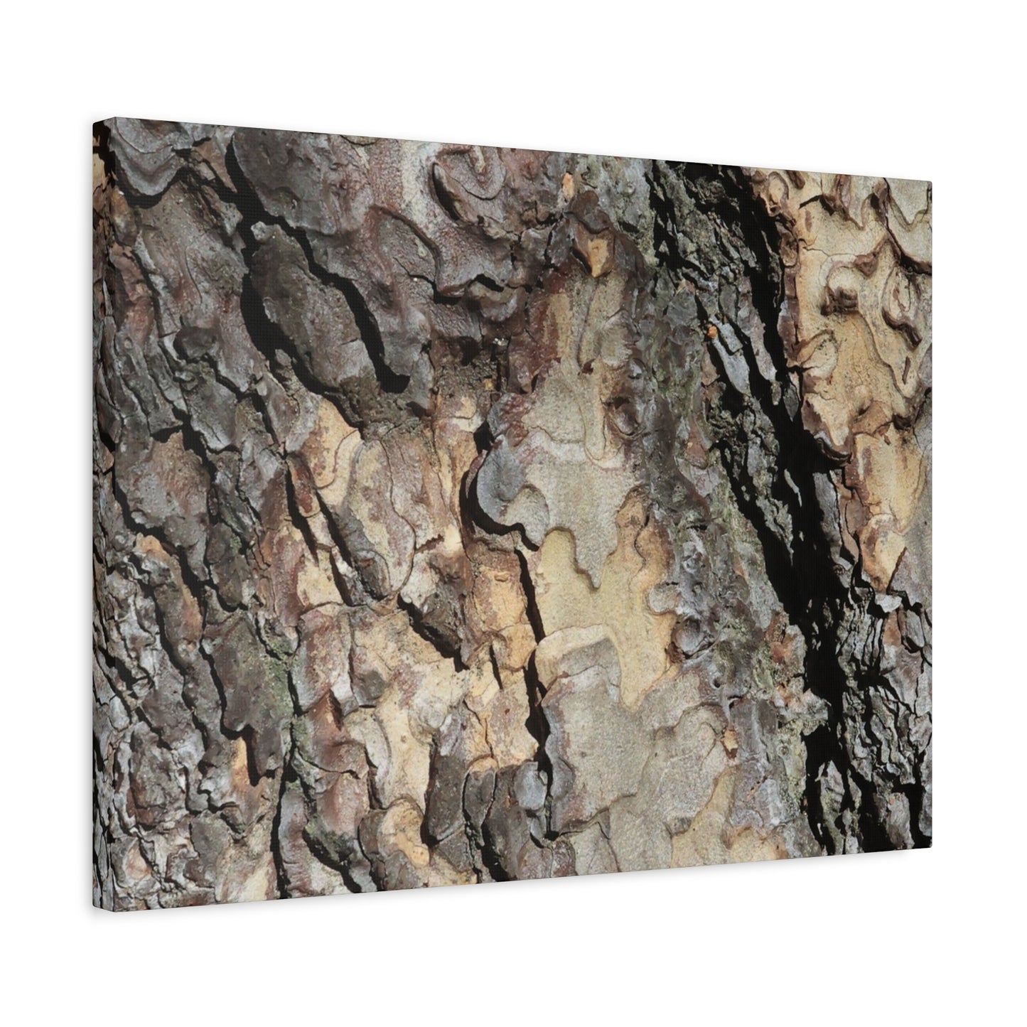Tree Bark Symphony - Unique Frameless Canvas Wall Art - Art By Earth