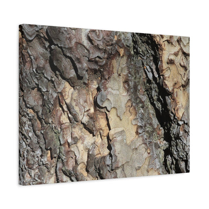 Tree Bark Symphony - Unique Frameless Canvas Wall Art - Art By Earth