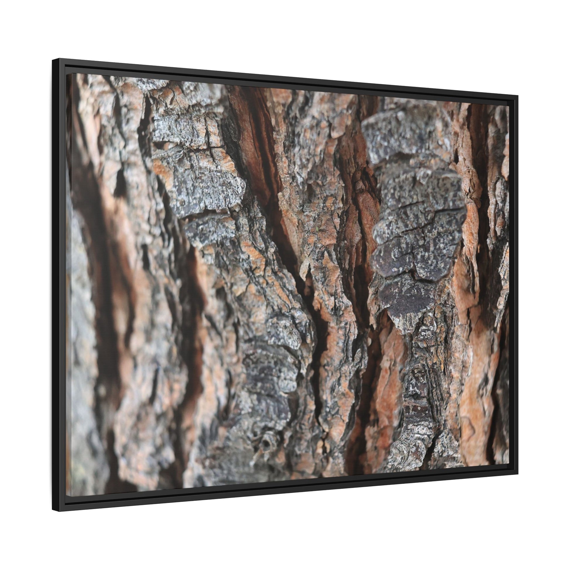 Fractured Nature - Unique Stretched Canvas Wall Art - Art By Earth