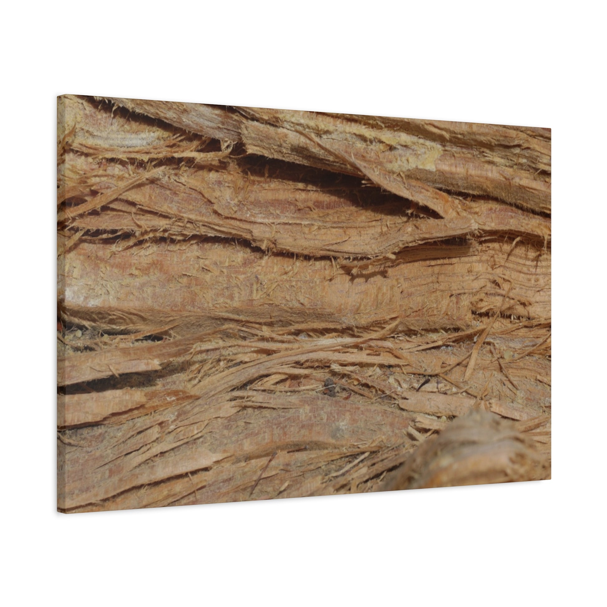 Layers of Memory - Unique Frameless Canvas Wall Art - Art By Earth