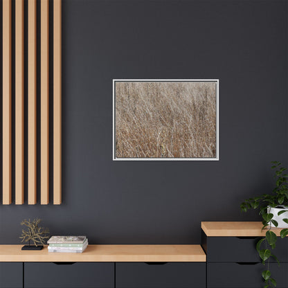Dry Grass Symphony - Unique Stretched Canvas Wall Art - Art By Earth