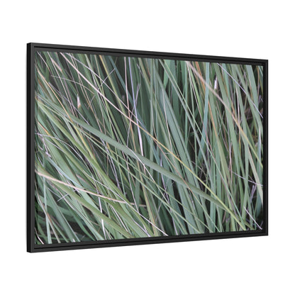 Grassland Symphony - Unique Stretched Canvas Wall Art - Art By Earth