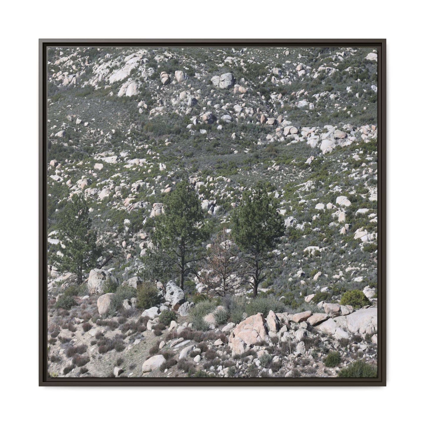 Rocky Hillside with Pine Trees - Unique Stretched Canvas Wall Art - Art By Earth