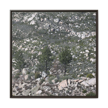 Rocky Hillside with Pine Trees - Unique Stretched Canvas Wall Art - Art By Earth