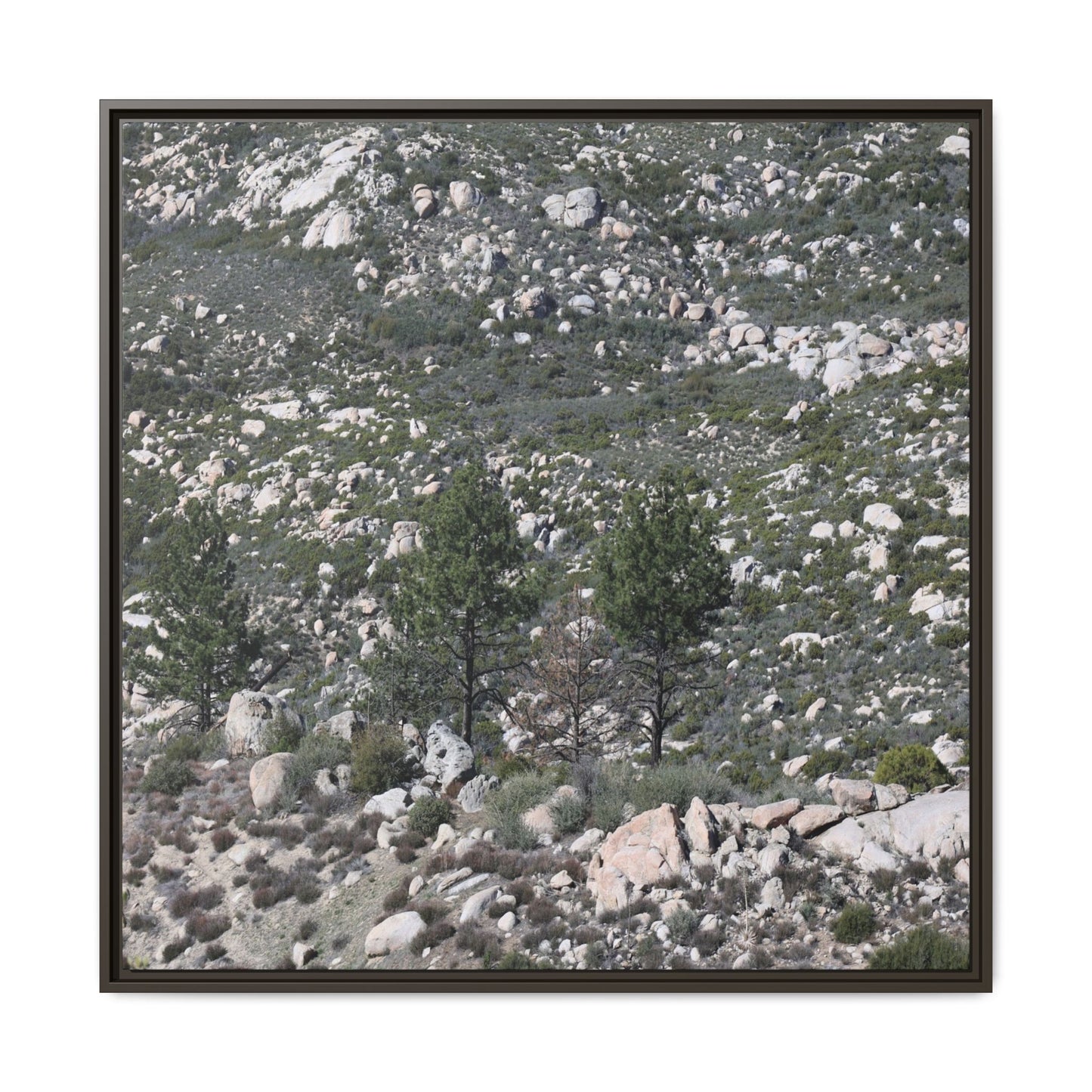 Rocky Hillside with Pine Trees - Unique Stretched Canvas Wall Art - Art By Earth
