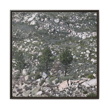 Rocky Hillside with Pine Trees - Unique Stretched Canvas Wall Art - Art By Earth