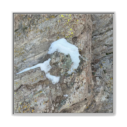 Lichen's Embrace - Unique Stretched Canvas Wall Art